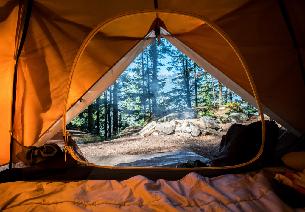 When was your first camping trip or are you a newbie camper?